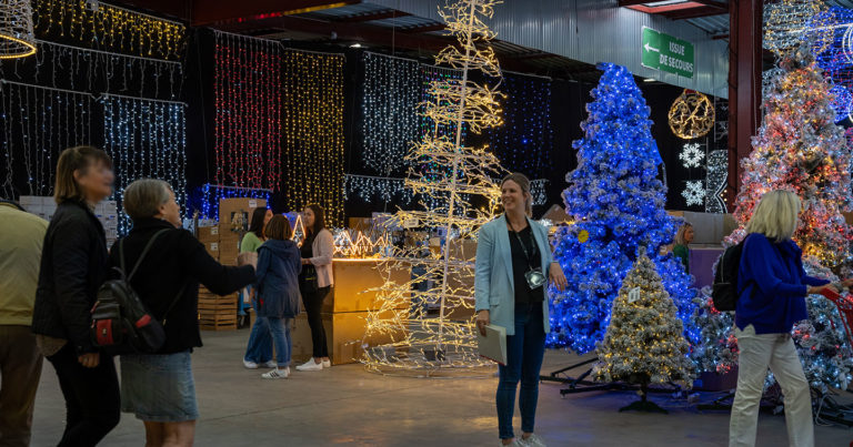 Braderie Festilight Sapins lumineux guirlandes